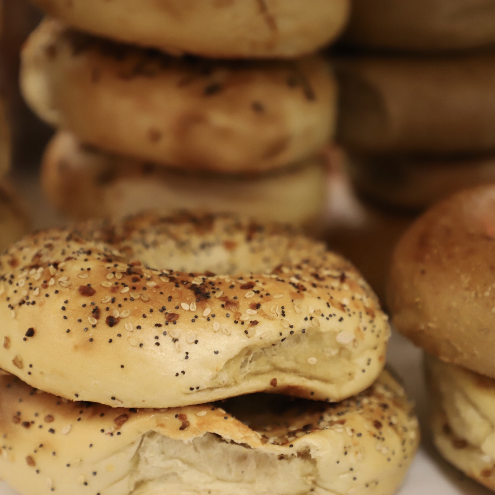 Bagels, Rye, Mustard and More Bagels, Rye, Mustard and More